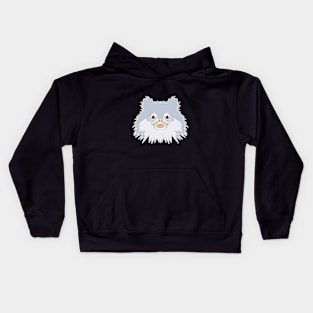 cute silver long haired puppy face Kids Hoodie